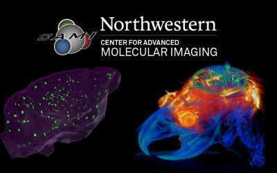 Request for Proposals: Pilot Project Funding for Imaging Studies