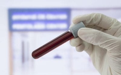 Blood test can reveal human’s precise internal clock, improve treatment
