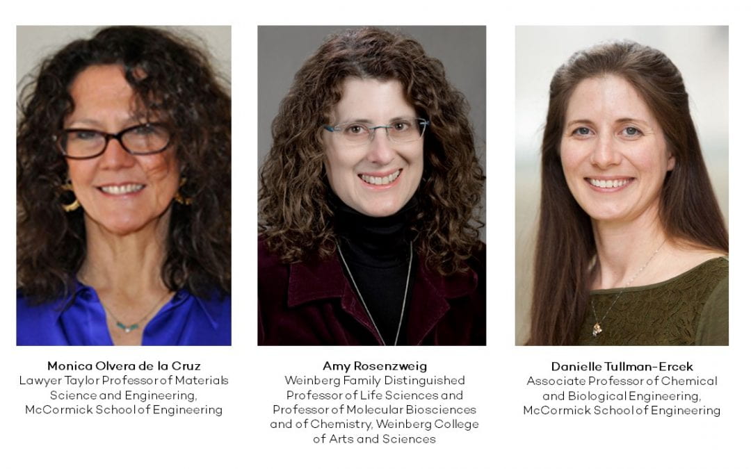 Three Distinguished Researchers Join CLP’s Faculty Executive Committee