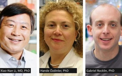 Chemistry of Life Processes Institute Welcomes Three Feinberg Faculty Members