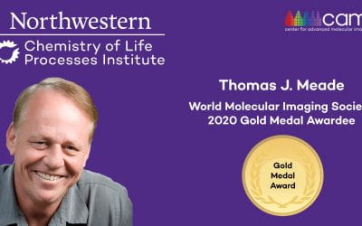 Northwestern’s Thomas Meade Awarded World Molecular Imaging Society Gold Medal Award