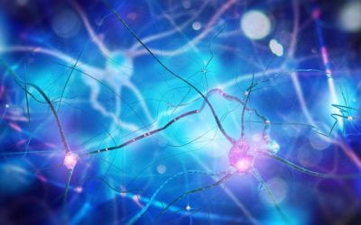 Potential ALS treatment may repair axons of diseased neurons