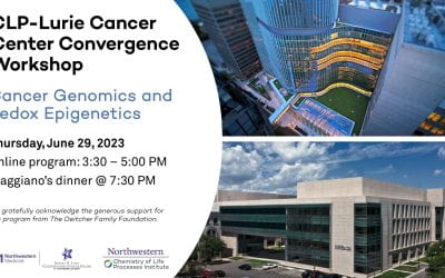 CLP-Lurie Cancer Center Convergence Workshop: Cancer Genomics and Redox Epigenetics