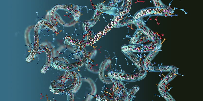 Pioneering New Methods to Understand Protein Folding